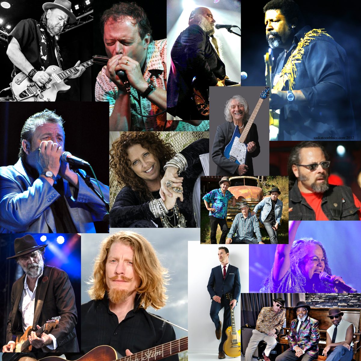 Fraser Valley Blues Society